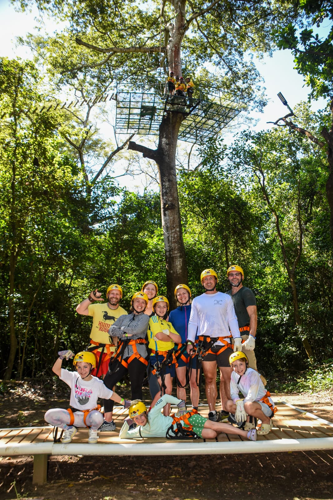 Contenido profesional